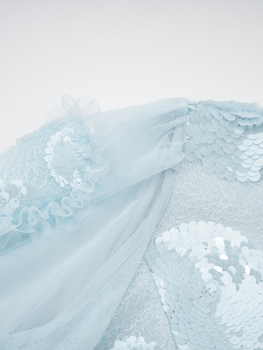 Elegant Ligh Blue Long Sleeves Ruffles Tulle Prom Dresses With Sequin Flowers