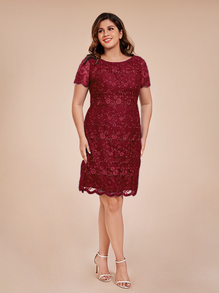 Column Short Sleeves Knee Length Lace Mother of the Groom Dress