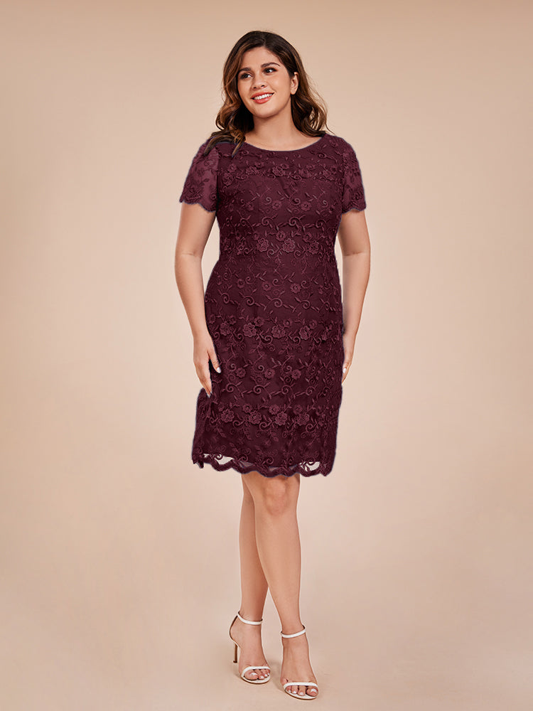 Column Short Sleeves Knee Length Lace Mother of the Bride Dress Column Short Sleeves Knee Length Lace Mother of the Bride Dress