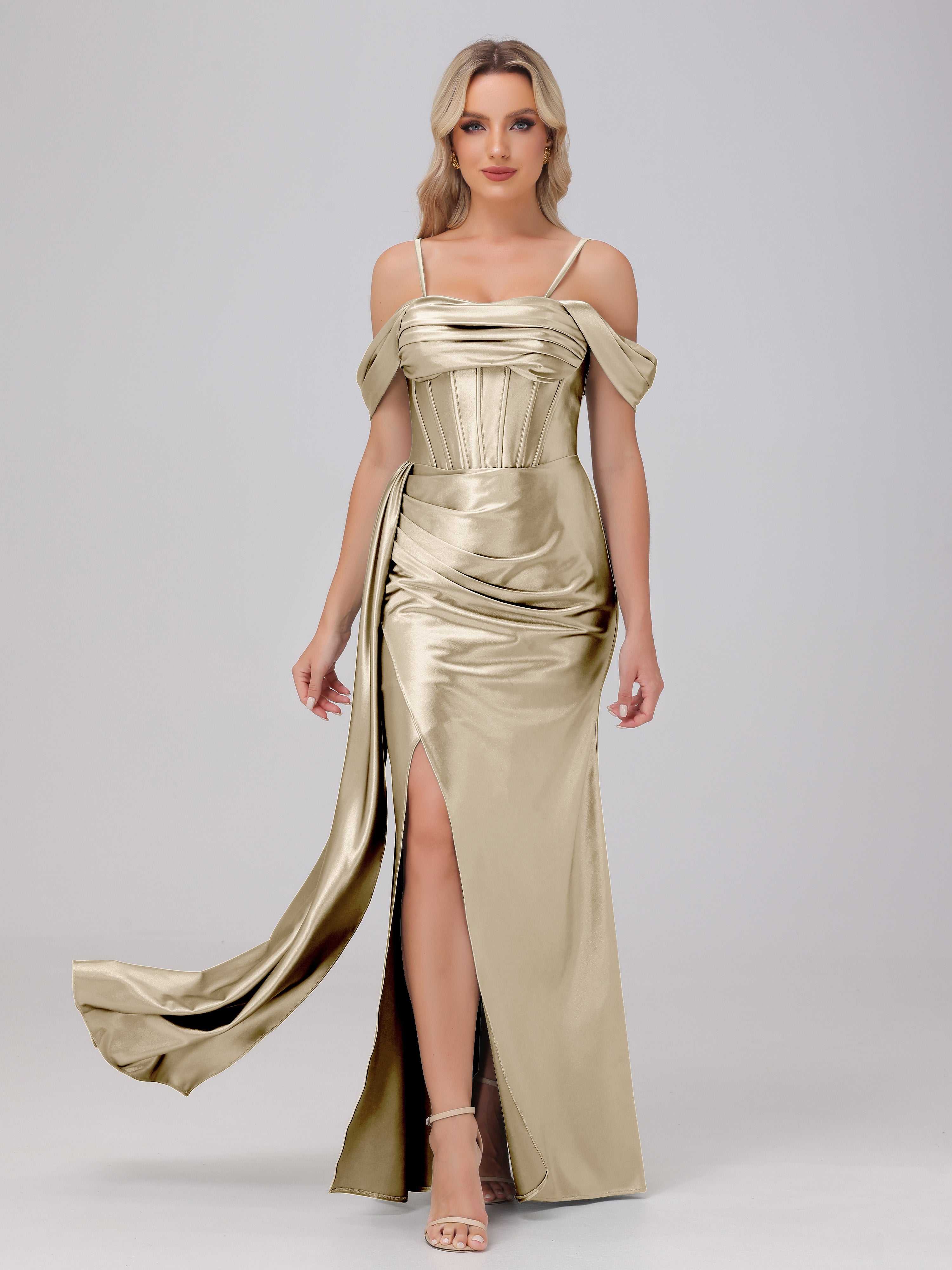 Champagne Prom Dress Off the Shoulder Straps Bodice Zip Back Prom Dres Champagne Prom Dress Off the Shoulder Straps Bodice Zip Back Prom Dres