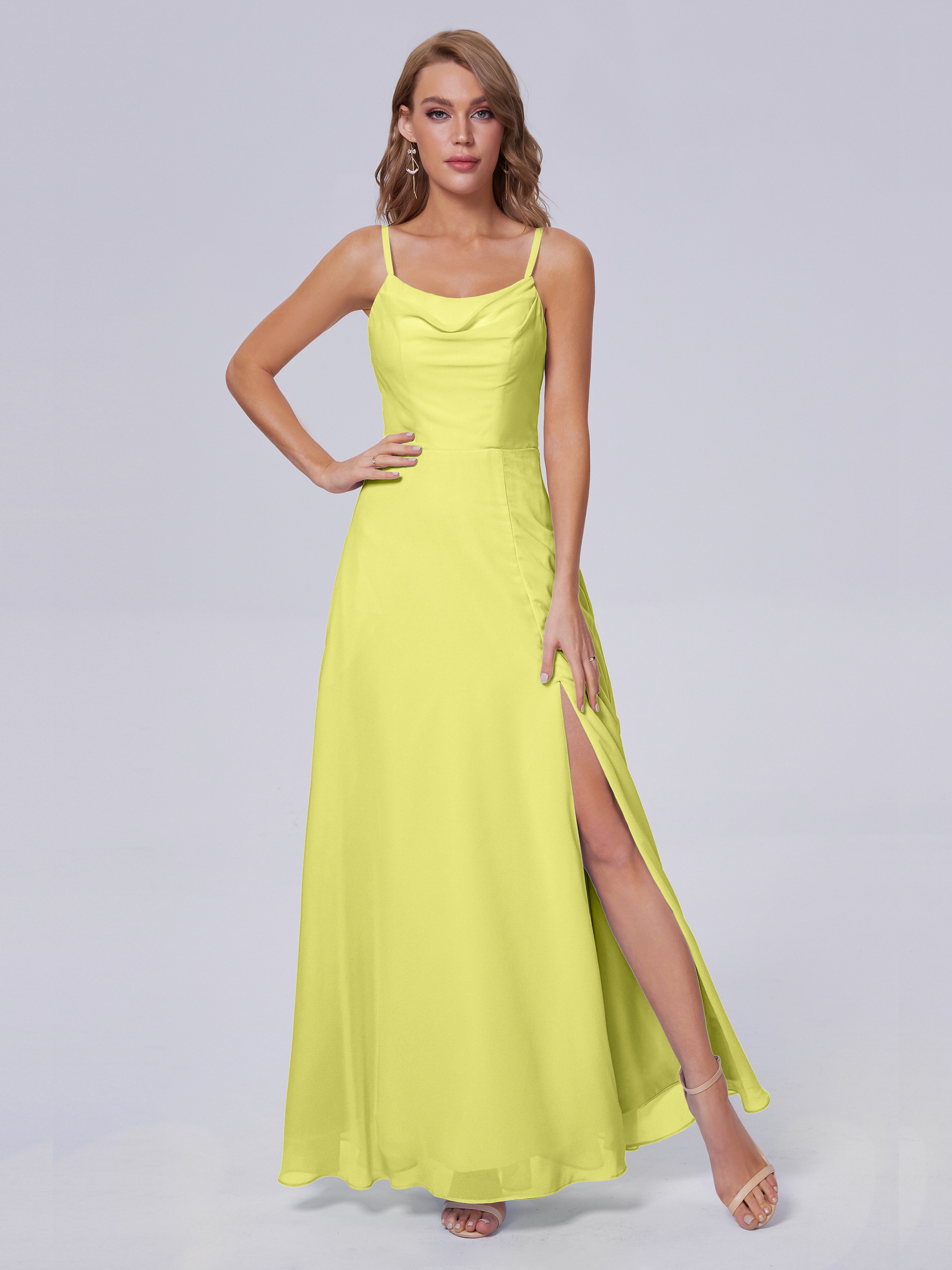 Daffodil