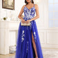 Spaghetti Straps Lace Appliques Floor Length Tulle Prom Dress