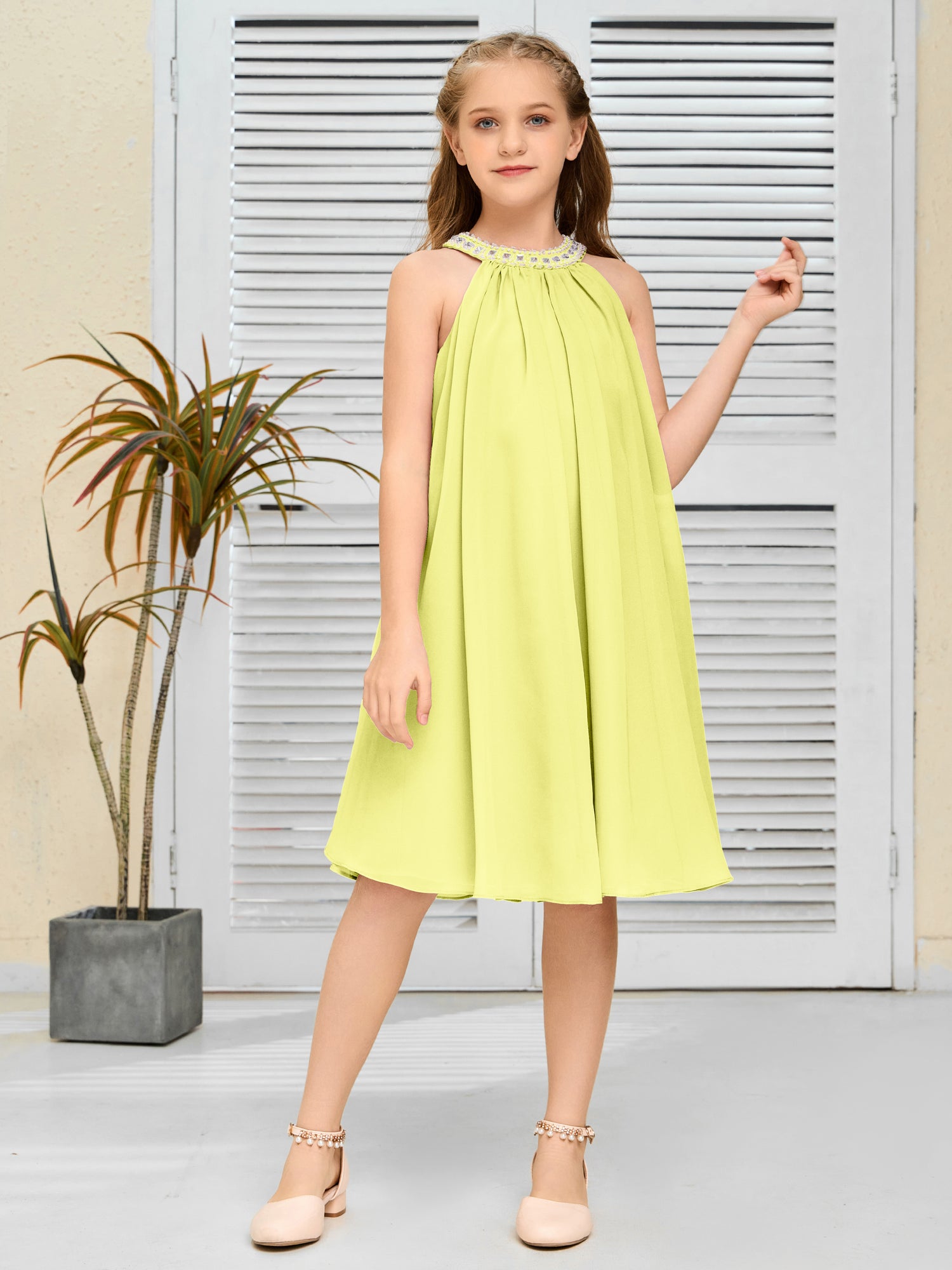 Daffodil