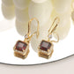 Chic Red Zircon Earrings