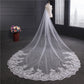 Wedding Veil One-Tier Tulle Lace Edge Cathedral Veils Sequins Appliques TS91045