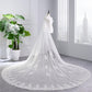 Wedding Veil Two-Tier Tulle Lace Edge Cathedral Veils Appliques TS91029